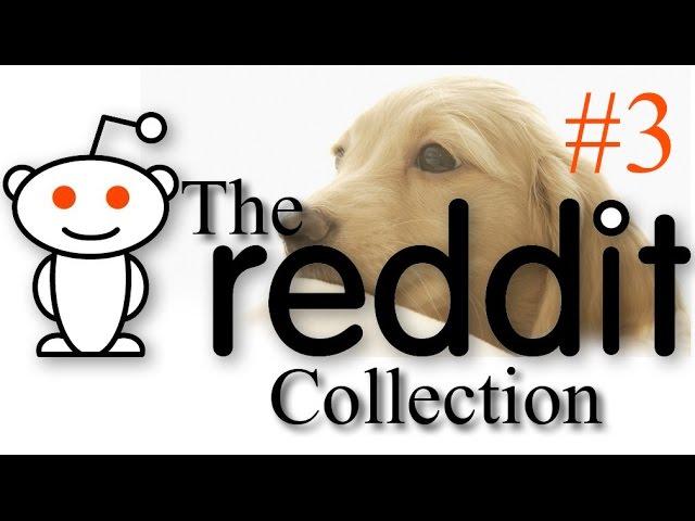 The Reddit Collection #3 - Colby