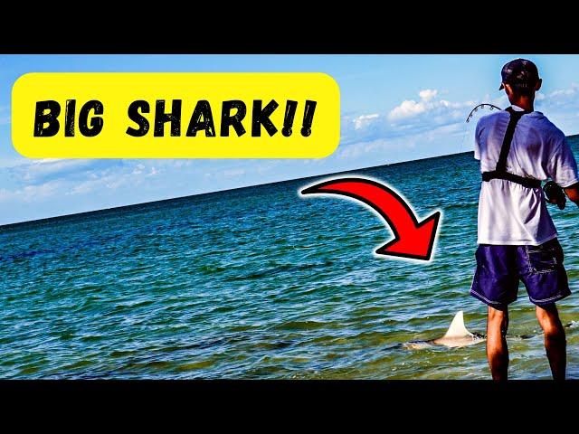 SHARKS, TARPON & BONEFISH - What a fishing trip! | Episode 10 - SERIES FINALE (4K)