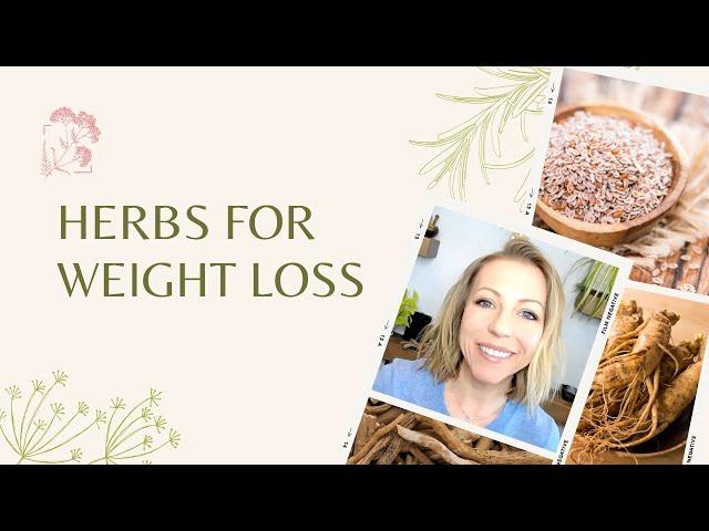 Herbs for Weight Loss