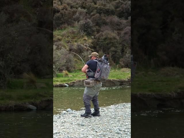 Classic New Zealand Trout Fishing - Bigger Fish Eats The Fly Instead of the 2 We Were Casting At!