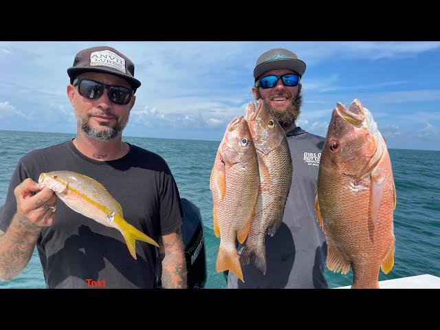 Is Spearfishing hard? Beginner Vs. Veteran | Managing Expectations