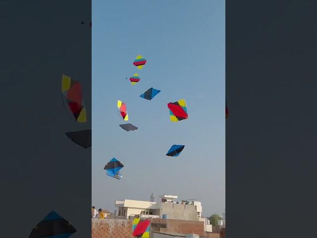 #kite #patanglover #kiteflying #love #garba #makarsankranti #foryou #youtubeshorts #comedy #funny