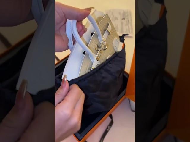 Unboxing the $100,000 Hermès Birkin Faubourg | Is It Worth the Hype?
