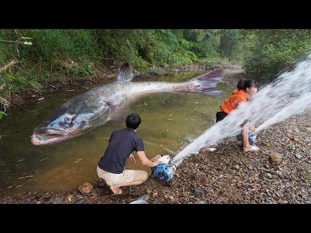 Wild Fishing Exciting, Easy Catch Big Fish With Two Large Pump Cannon Sucks Water Out Of Wild Lake