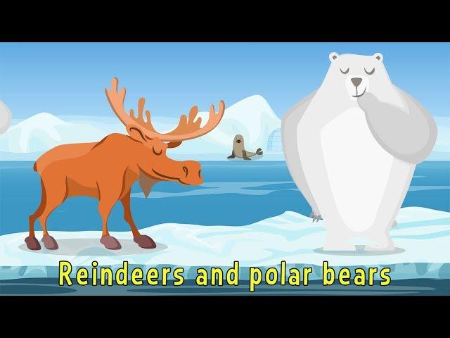 Wild Animals: The Song - Educational Videos in English | Little Smart Planet