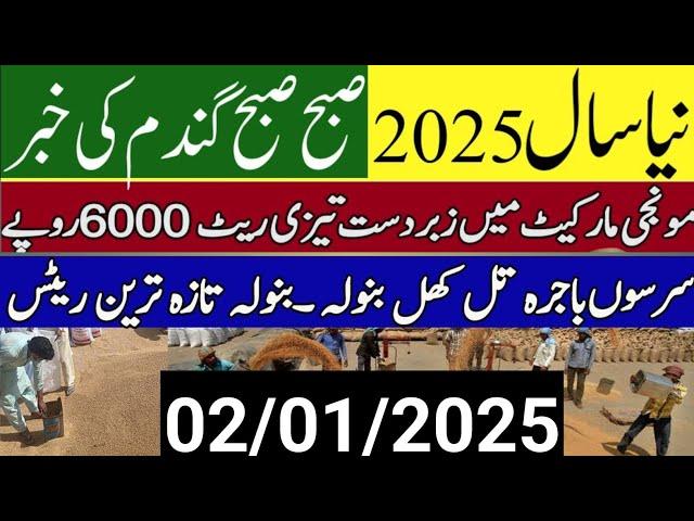 Today Wheat price in punjab//گندم کا ریٹ 2024/munji makki till sarso/Galla mandi rate today