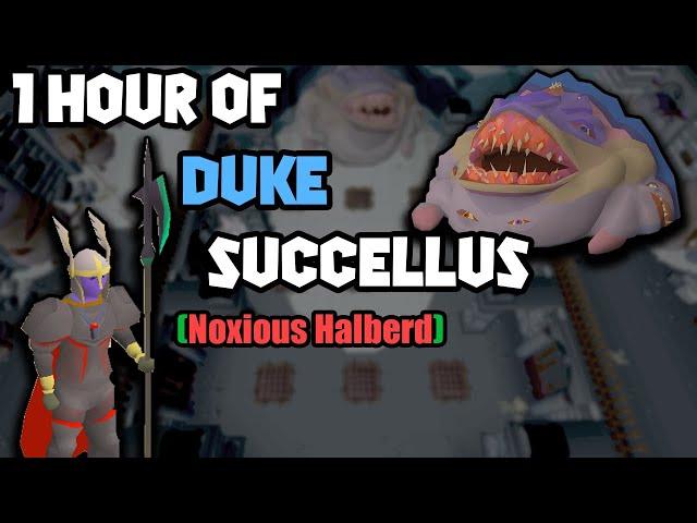 1 Hour of Duke (Noxious Halberd) | OSRS Duke Sucellus Examples