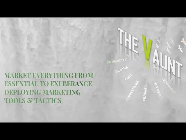 The Vaunt- The Marketing Agency