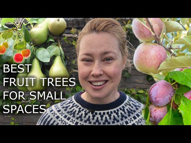 How To Grow Fruit Trees In Small Spaces - No Garden Needed!