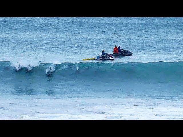 Dolphins Join Lakey Peterson at Jeffreys Bay