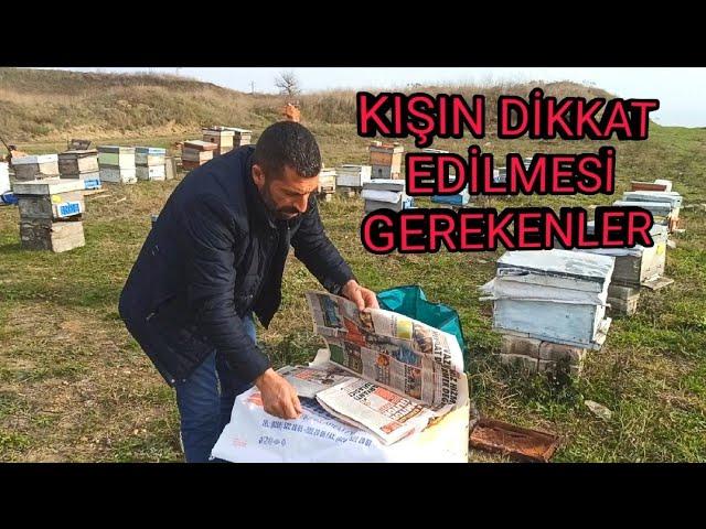 Arılarda Kış bakımı nasıl yapılır ve neye dikkat etmeliyiz detaylı anlatım ne fayda