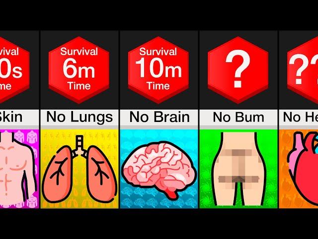 Comparison: Survival Without Organs