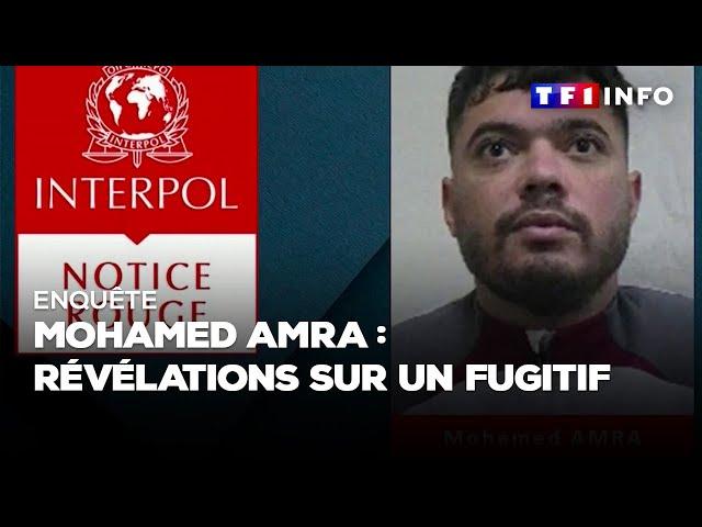 Enquête - Mohamed Amra : documents inédits sur la traque de l'homme le plus recherché de France