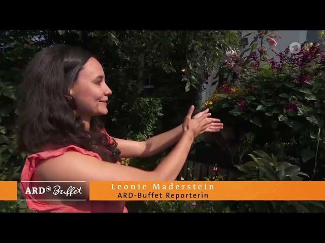 Heikes Hausgarten: Hanging Baskets | ARD-Buffet