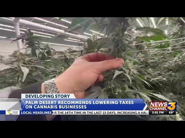 City of Palm Desert recommends lowering taxes on cannabis businesses