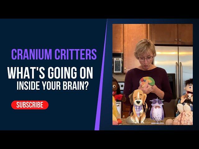 Cranium Critters™: Teaching Kids about Emotion Regulation and their Brain