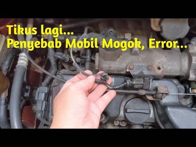 Gara Gara Tikus Jadi Mogok nih, Mobil...