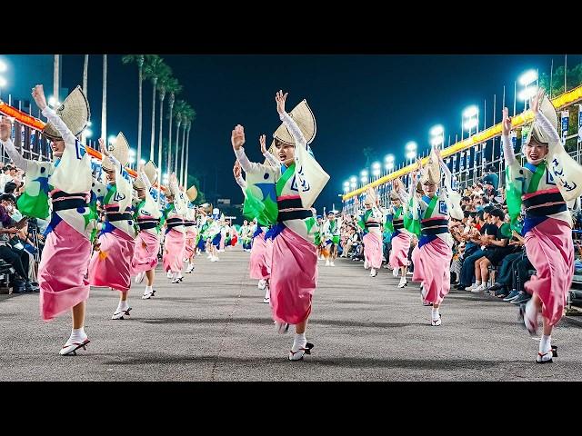 Japan's Traditional Dance Festival Awa Odori | 2024 Awaodori in Tokushima