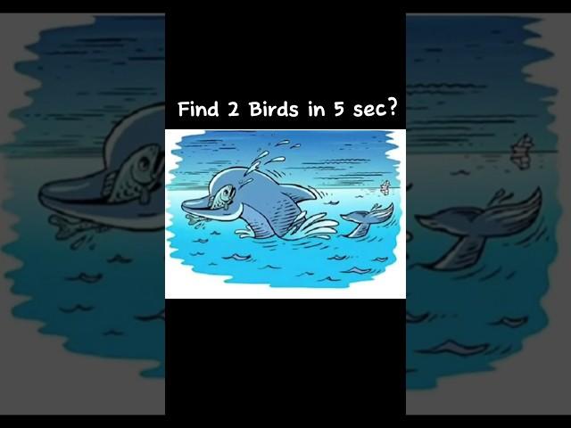 The Bird finder #shorts #short #viral