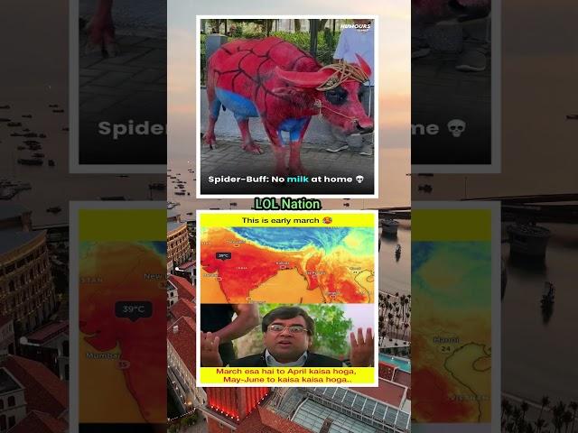 LOL Nation - Meme of The Day - 250 #memes #memesdaily #shorts #shortvideo #trending #trendingshorts