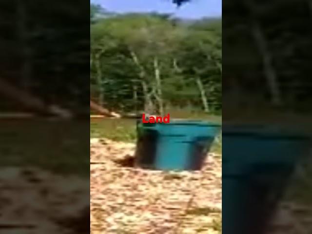 LAND CLEAN UP #shorts #acres  #land #landclearing #exercise #workout #clean