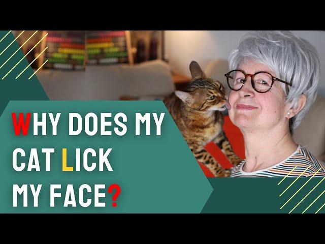 Why Does My Cat Lick My Face? The Secret Language of Feline Affection!