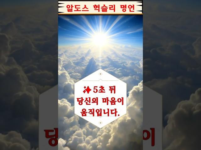 성공보다 중요한 단 한마디(알도스 헉슬리 명언)#명언#하루한줄#동기부여#자기개발#힐링#감성#마음공부#긍정