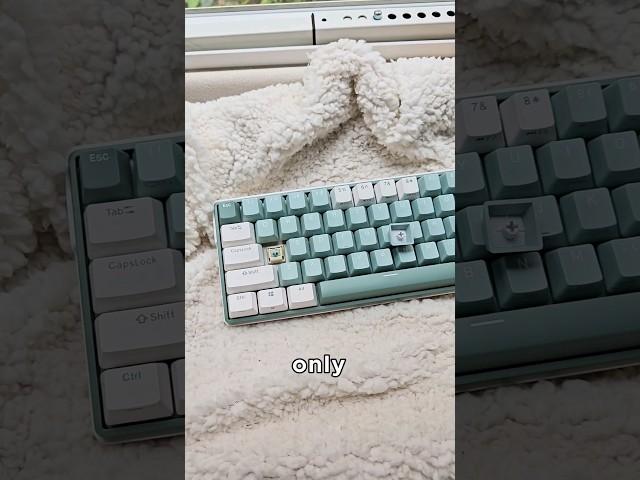 HOW is this keyboard so CHEAP?