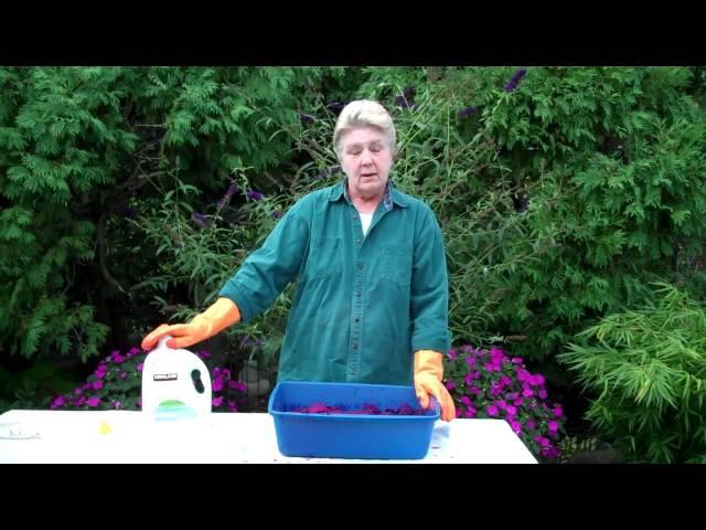 Dyeing Fabric - Overdyeing