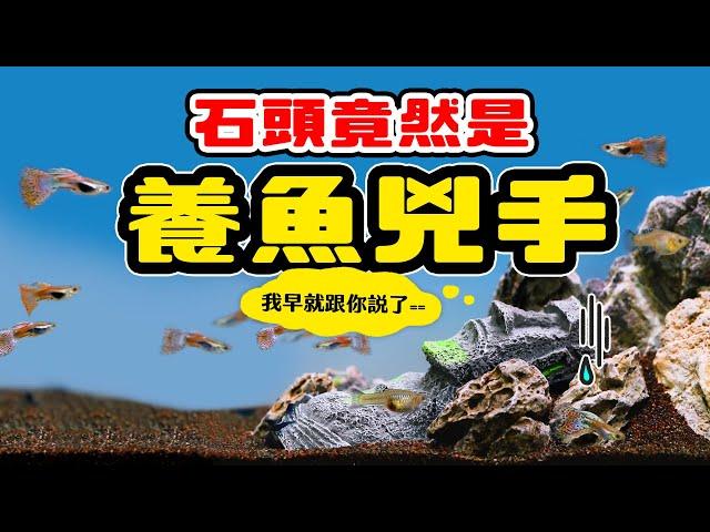 種水草 魚還是上天堂？被你忽略的沉默殺手，看懂了養魚不再滅團！ Aquarium stone, The Fish Tank silent killer.