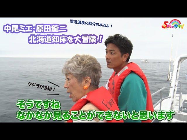 【混浴温泉も紹介！】中尾ミエと原田龍二が知床の大自然を冒険！『中尾ミエの北海道知床めぐり！』