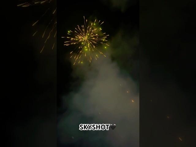 DIWALI CELEBRATION #explore #diwalicrackers #diwalicelebration #fireworks #skyshot