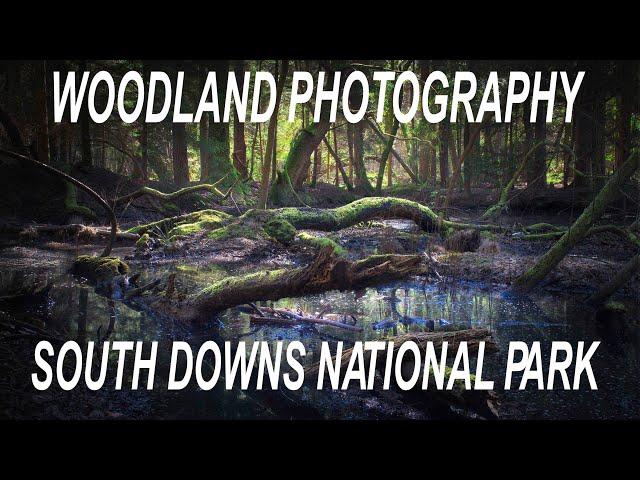 SOUTH DOWNS WAY  | LANDSCAPE PHOTOGRAPHY UK