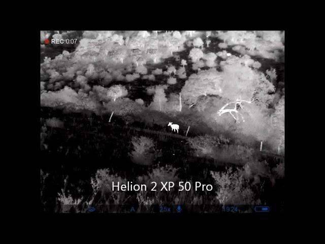 Comparison between Pulsar  Helion XQ38 and Helion 2 XP  50 Pro