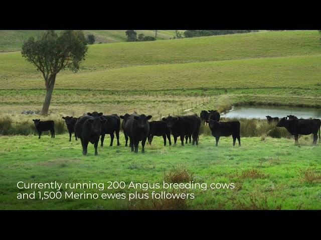 Elders Rural NSW | Hillview Park