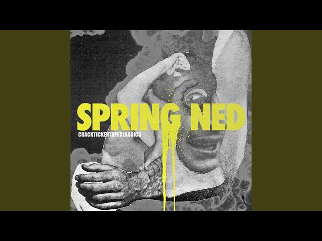 Spring Ned