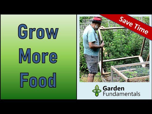 Secret Tips for Higher Vegetable Yields ️ Less Work and More Food