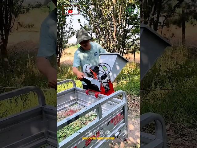 Amazing Portable Chaffcutter Machine