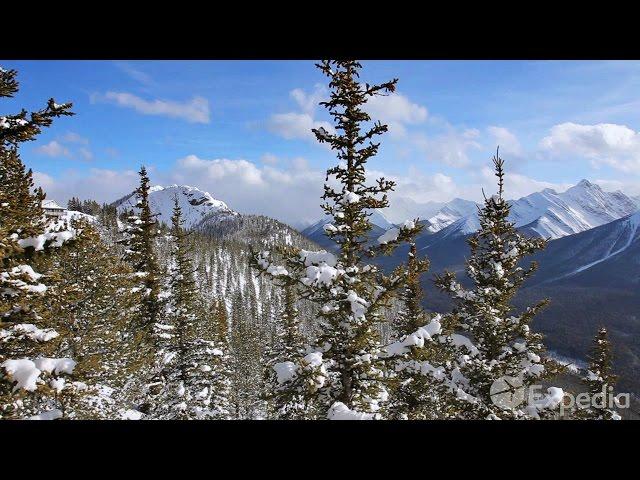 Banff Gondola Vacation Travel Guide | Expedia