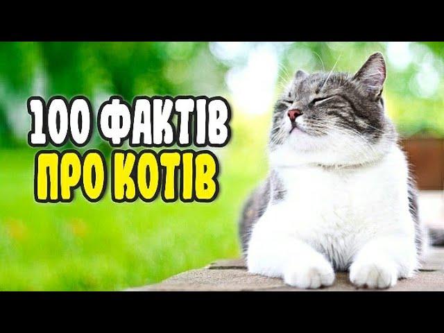 100 ФАКТІВ ПРО КОТІВ | ЦІКАВО ЗНАТИ