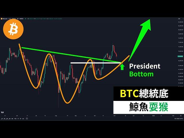 Bitcoin 2024 presidential bottom? BTC whales are playing tricks on retail investors again!