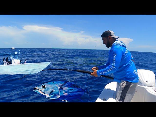 locura entre guardacostas y aves en busca de pelágicos captura/limpieza/cocina en los cayos de FL.