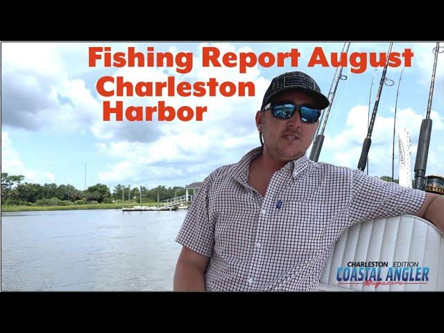 Fishing Report - Charleston Harbor for August - Capt Zach Litchfield at Port City Charters