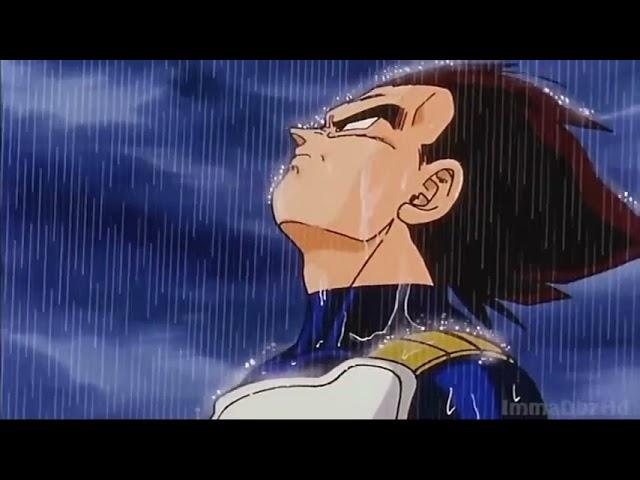 Vegeta in the rain 1Hour-Calming