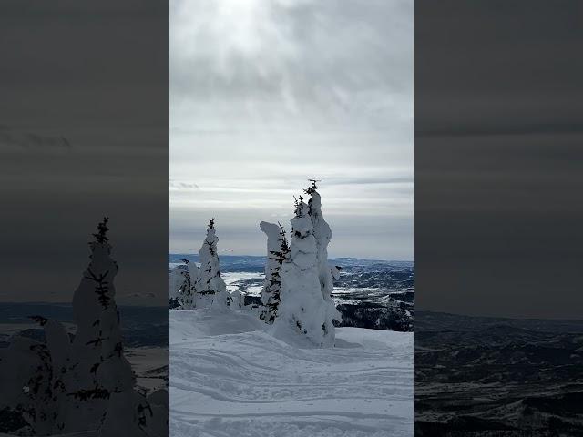 Would you go Snowmobiling in Colorado?