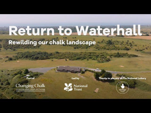 Return to Waterhall: rewilding our chalk landscape