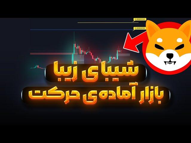 شیبا در مسیر سقف تاریخی؟ | پایان نوامبر | پیش بینی سیلر