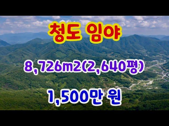 [162] 청도 임야매매 8,726m2(2,640평) 매매 금액 1,500만 원 해발 600m