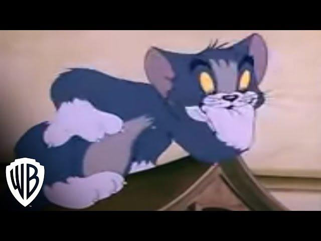 Tom and Jerry Spotlight Collection  | Volume 2 Trailer | Warner Bros. Entertainment