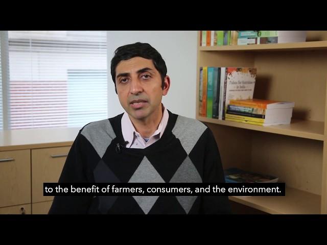 IFPRI’s Devesh Roy on India’s Pulses Sector